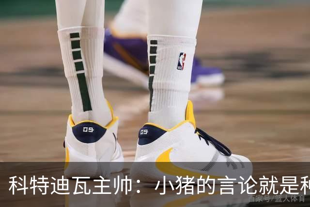 科特迪瓦主帅：小猪的言论就是种族歧视，可能是退役后想博流量吧